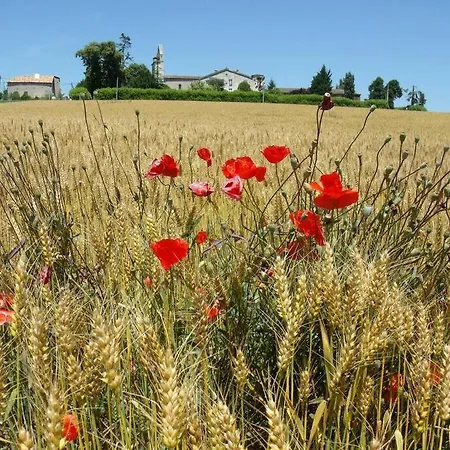 La Maison Des Coteaux * Ruffiac (Lot-et-Garonne)